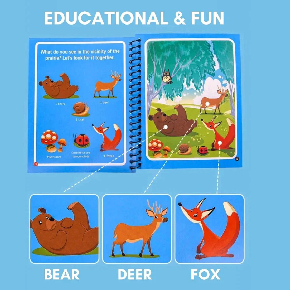 Reusable Magic Water Painting Book (Pack of 6)